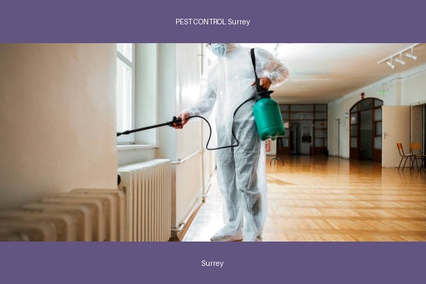 PEST CONTROL Surrey